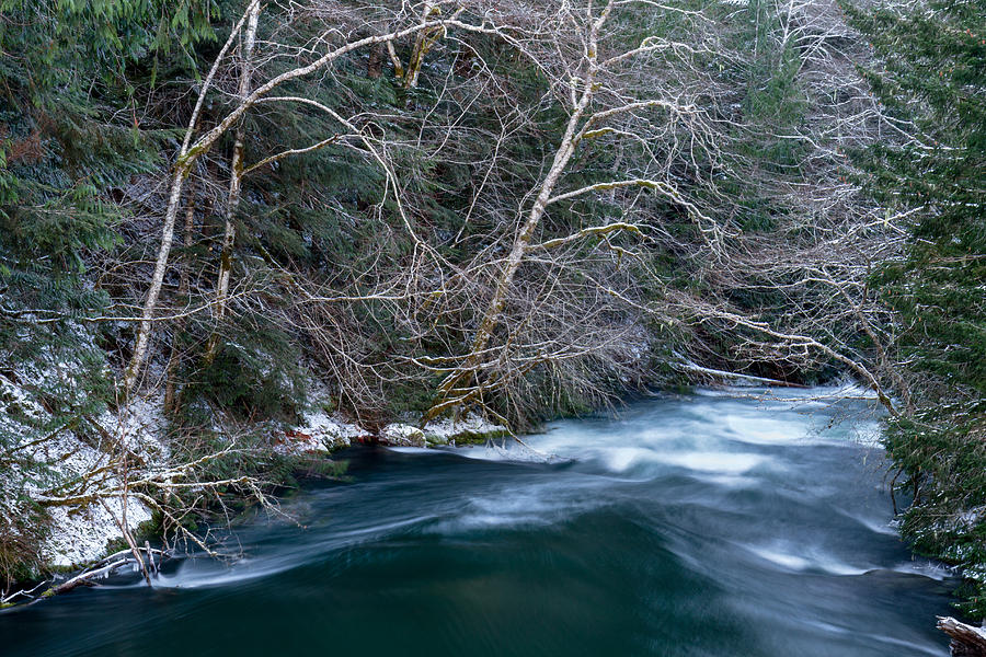 Chilliwack River Banks Photograph by Michael Russell
