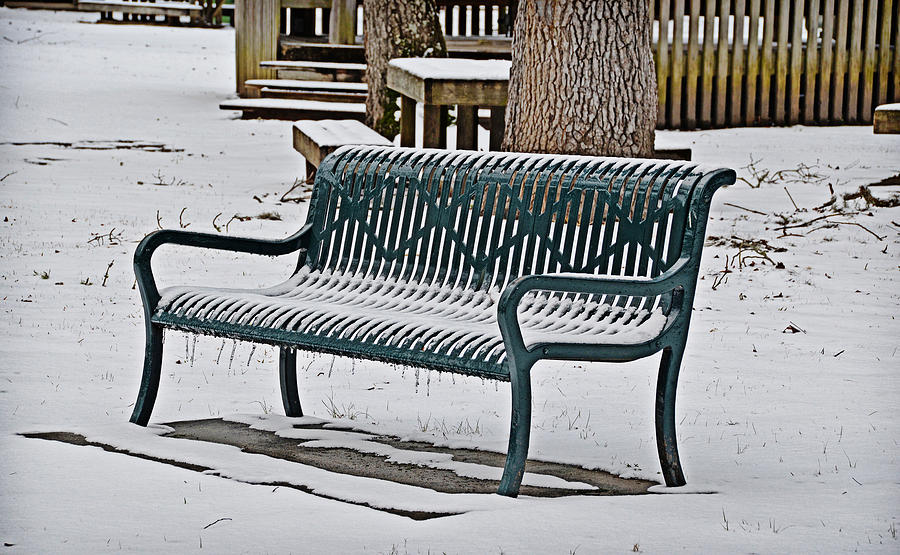 Chilly Bench Photograph by Linda Brown