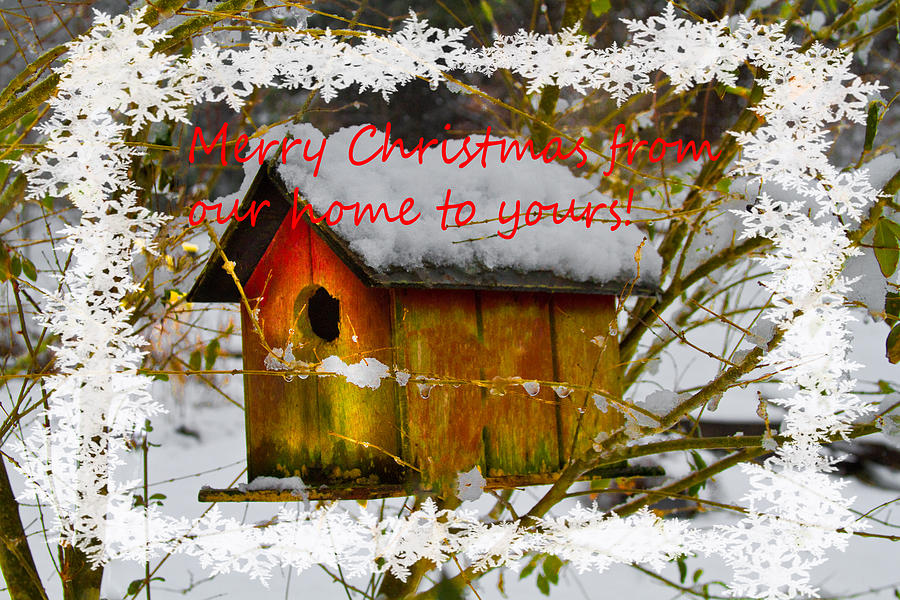 Chilly Birdhouse Holiday Card Photograph by Debra and Dave Vanderlaan