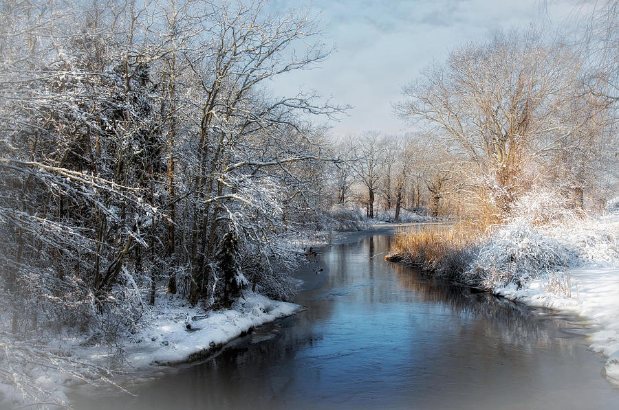 Winter Photograph - Chilly Brook by Robin-Lee Vieira