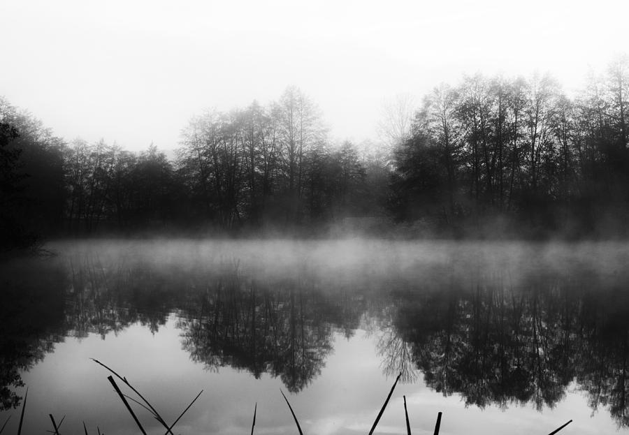 Chilly Morning Reflections Photograph by Miguel Winterpacht