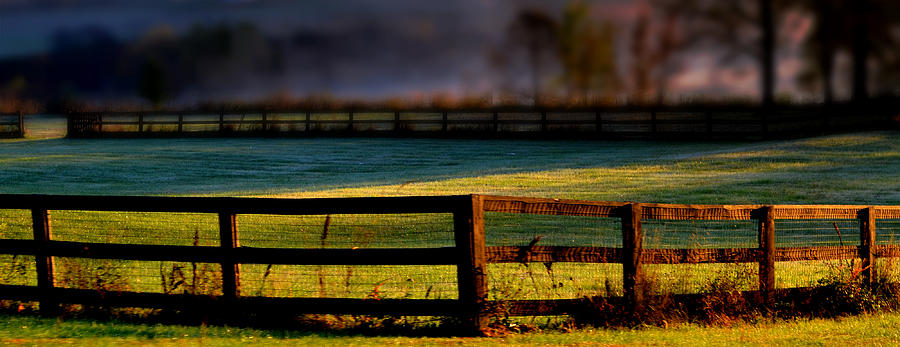 Chilly Pasture Photograph by Carlee Ojeda