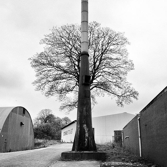Tree Photograph - Chimney Tree by Carlos Macia Perez