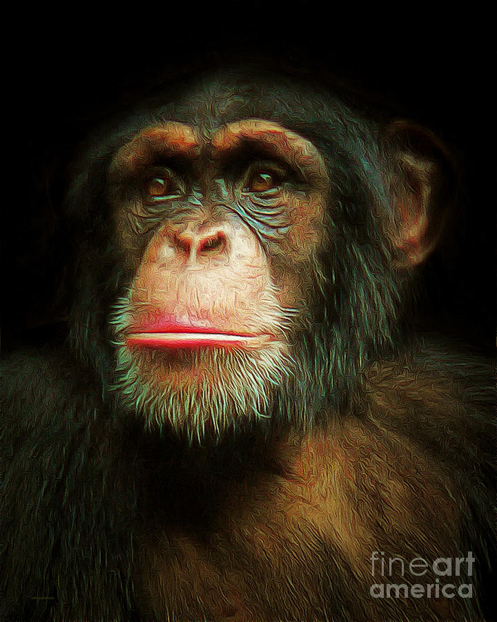 Chimp 20150210brun Photograph by Wingsdomain Art and Photography