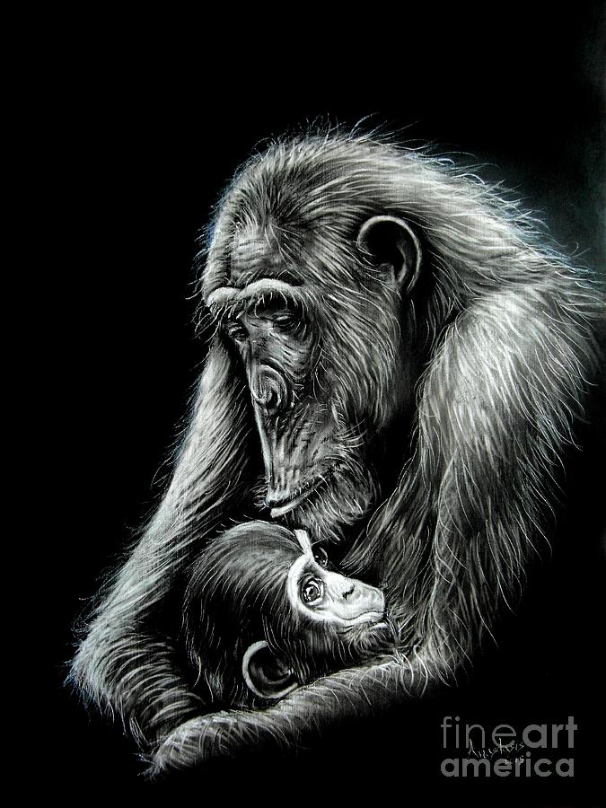 Chimp Love Drawing by Anastasis Anastasi - Fine Art America