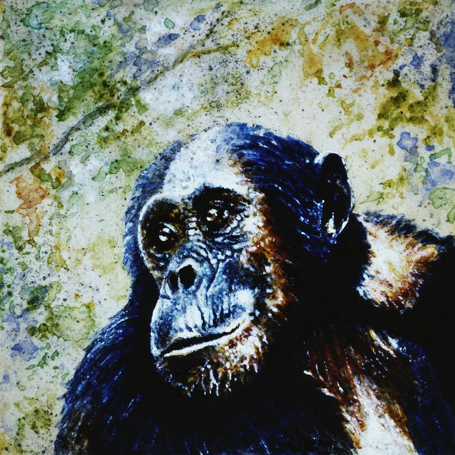 Chimpanzee Painting by Hartmut Jager