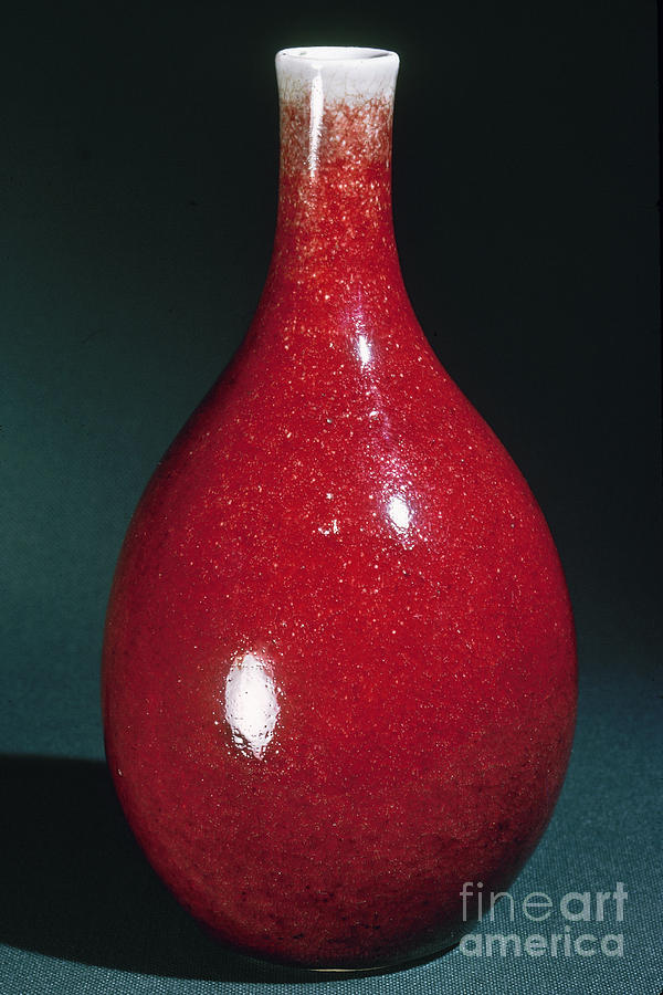 China - Porcelain Vase Photograph by Granger