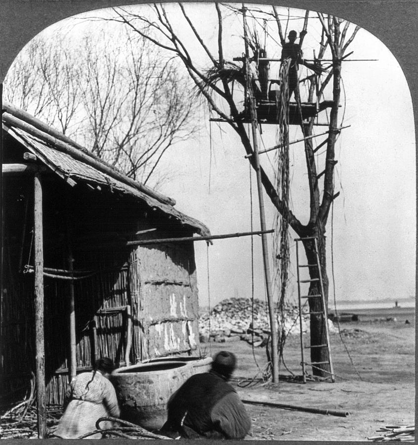 China Bamboo Rope, C1908 Photograph by Granger - Fine Art America
