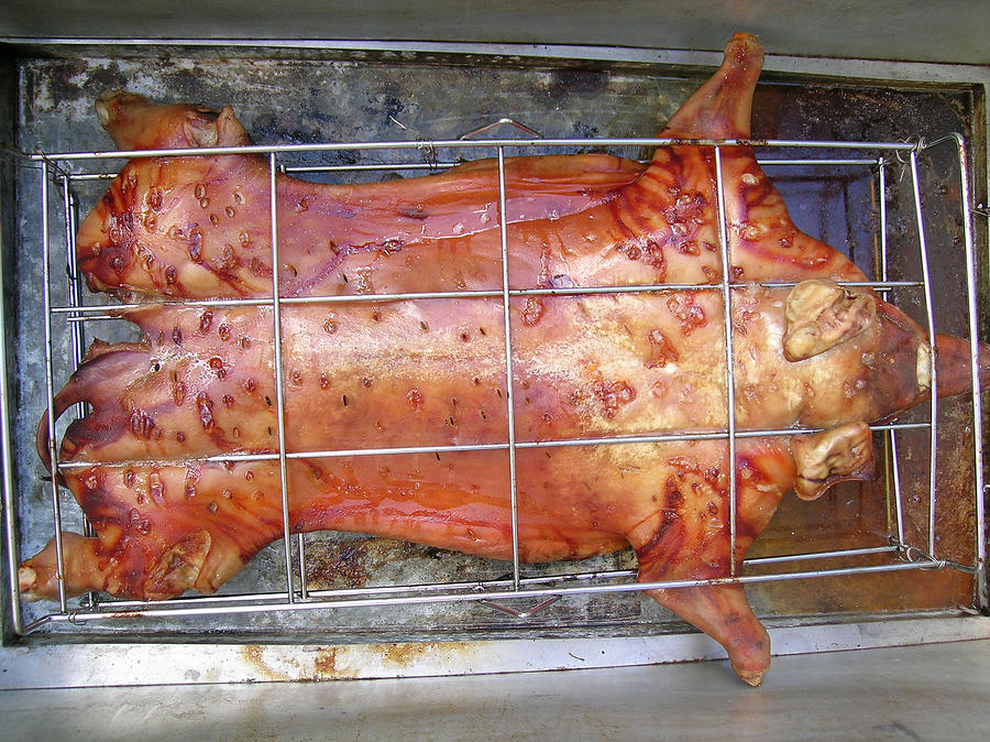 China Box Roast Pig Photograph by James Temple