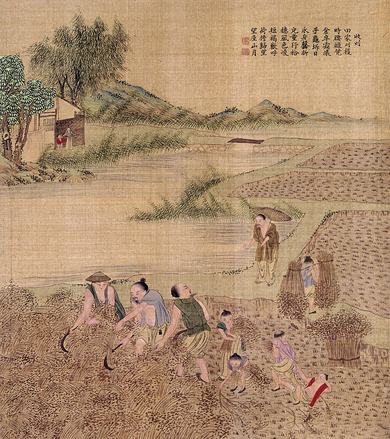 China Harvesting Rice Painting by Granger