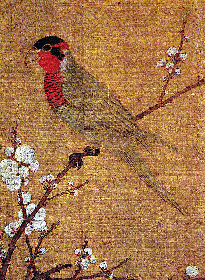 China Parakeet Painting by Granger