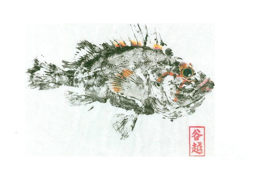 Nature Painting - China rockfish gyotaku by Julia Tinker