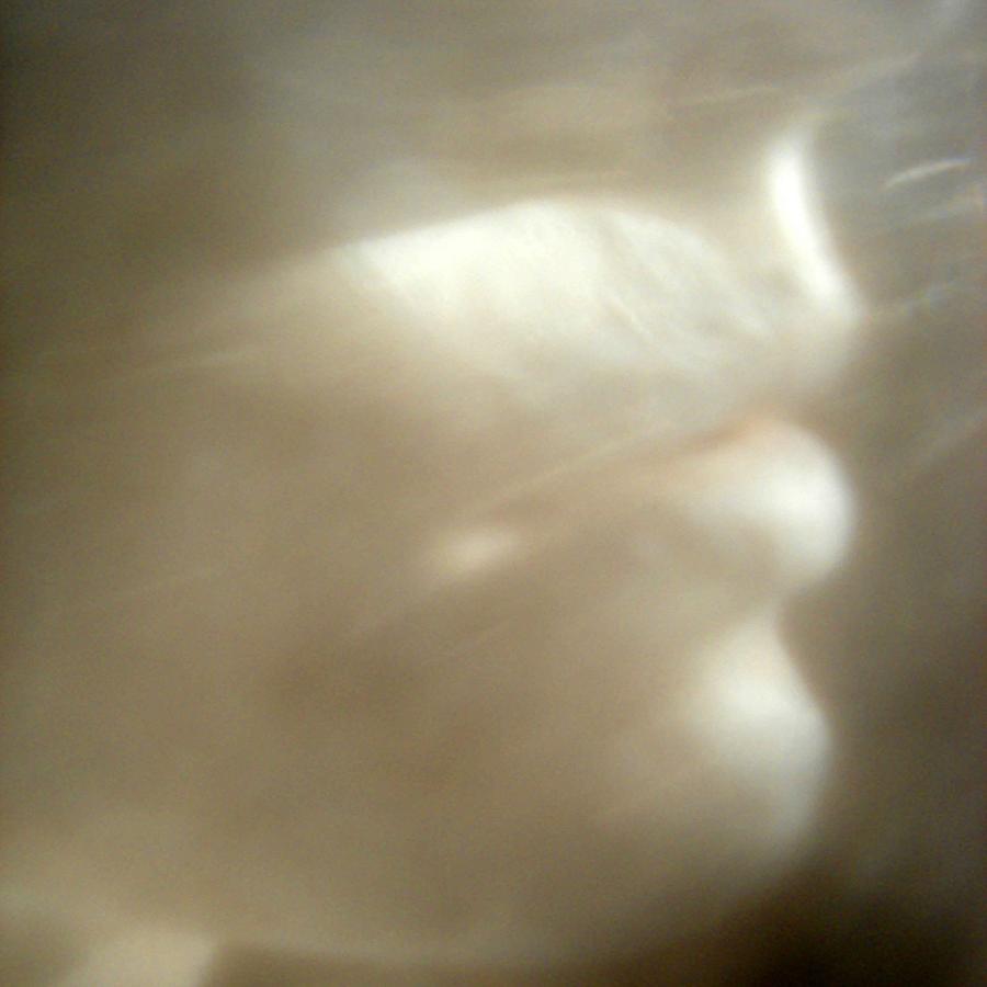 Face Photograph - China Sorrows by Rachel Dubber Face Photograph - China Sorrows by Rachel Dubber