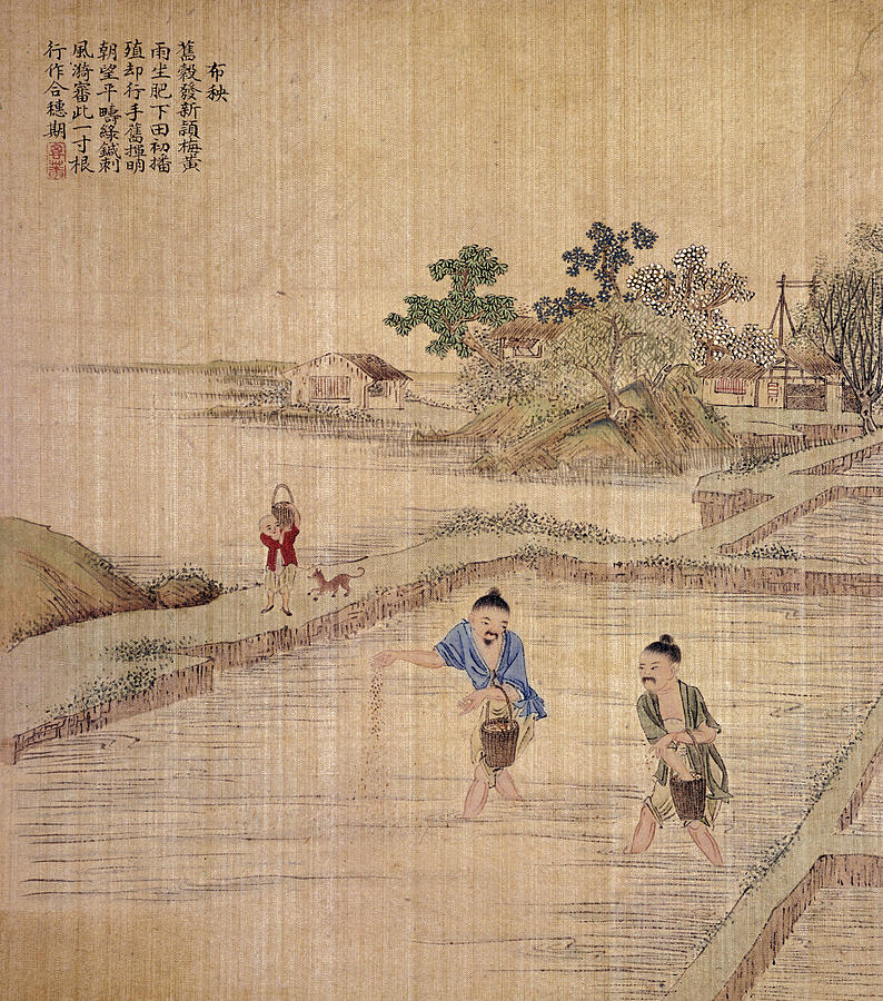China Sowing Rice Painting by Granger