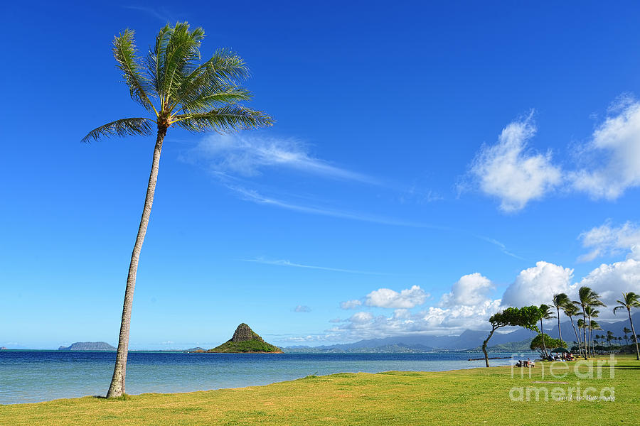 Chinamans Hat Photograph - Chinamans Hat and a Lone Palm Tree Wide by Aloha Art