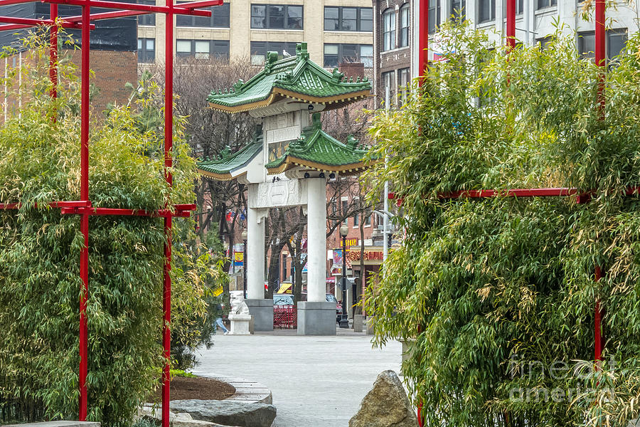 Chinatown Gate with Bamboo Photograph by Susan Cole Kelly