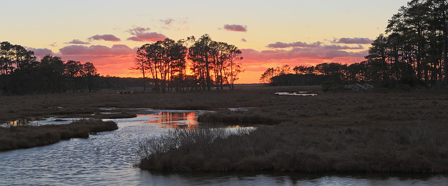 Chincoteague Island Sunset Photograph by Jack Nevitt