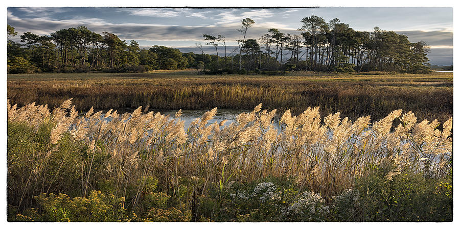 Chincoteague Morning Photograph by Robert Fawcett