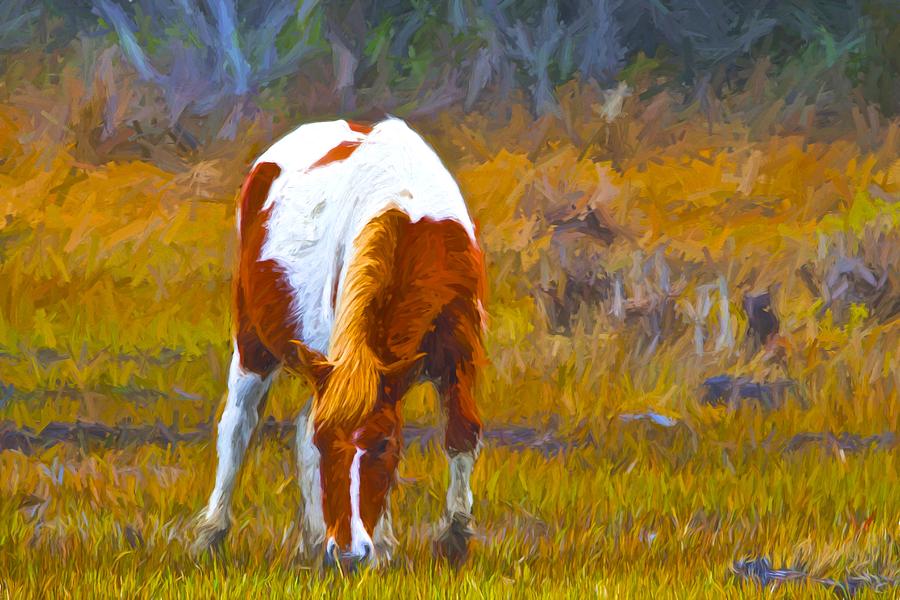 Chincoteague Painted Photograph by Alice Gipson