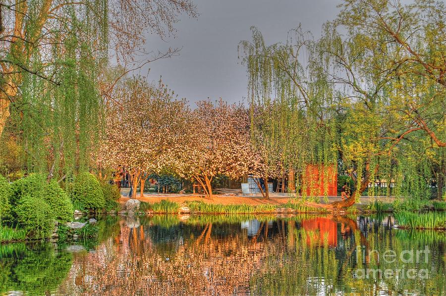 Chineese Garden Photograph by Bill Hamilton