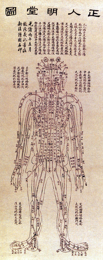 Chinese Acupuncture Chart, 1906 Photograph by Science Source