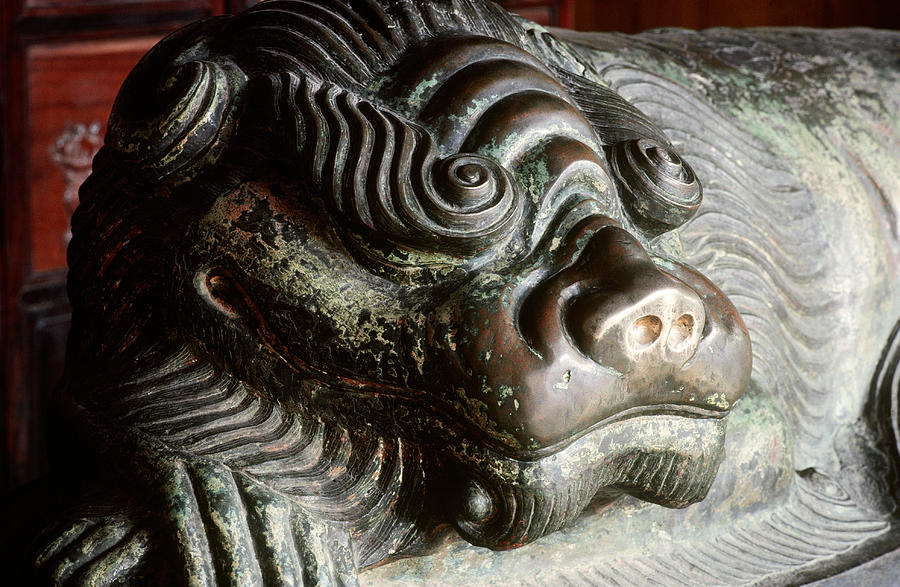 Chinese Bronze Lion Photograph by George Holton