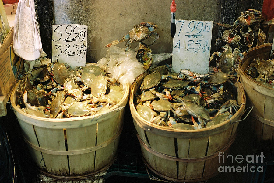Animal Photograph - Chinese Crabs for Sale by Jannis Werner
