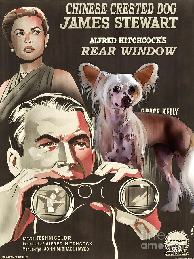 Chinese Crested Art - Rear Window Movie Poster Painting by Sandra Sij
