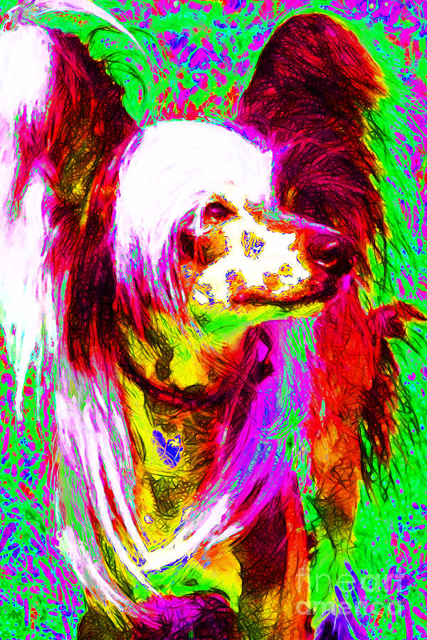 Chinese Crested Dog 20130125v2 Photograph by Wingsdomain Art and Photography