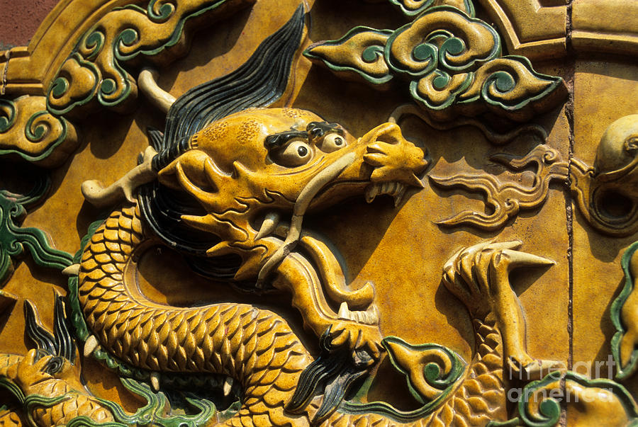 Chinese dragon portrait Photograph by James Brunker