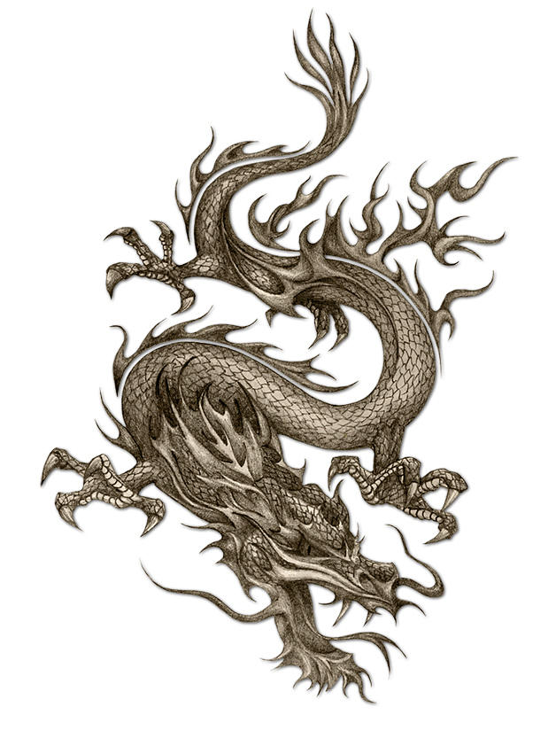 chinese dragon drawing in pencil