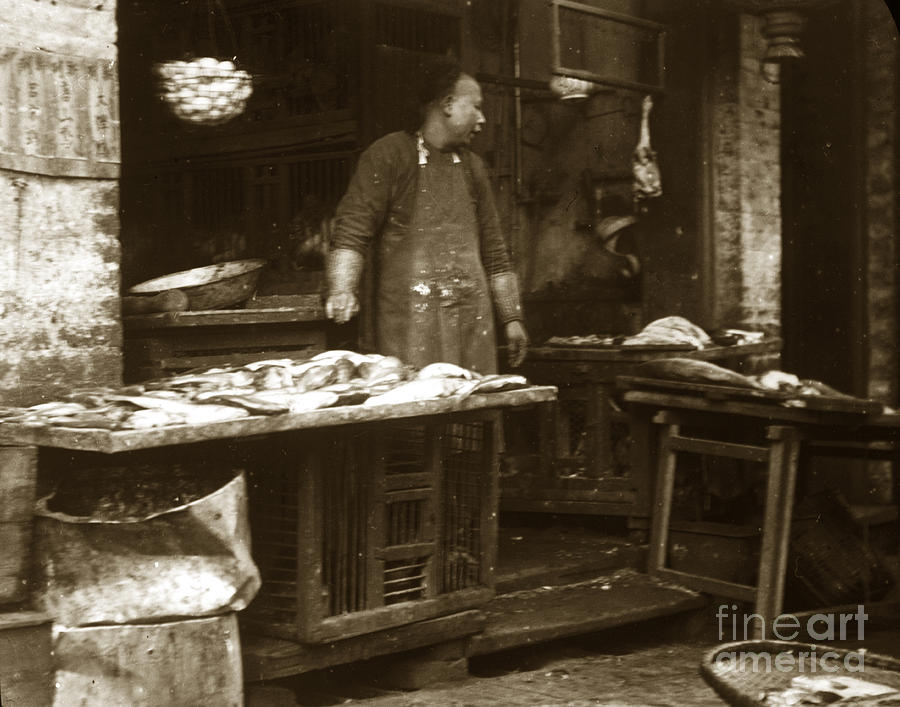 Chinese Photograph - Chinese fish peddler San Francisco Chinatown circa 1900 by Monterey County Historical Society