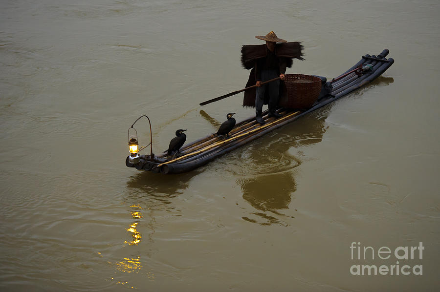 Chinese Fisherman Photograph by John Shaw