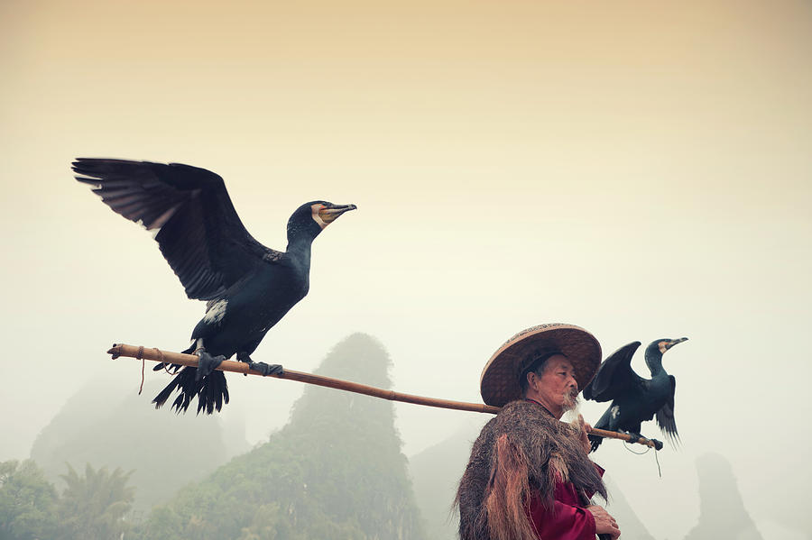 Chinese Fisherman With His Cormorants Photograph by Tunart