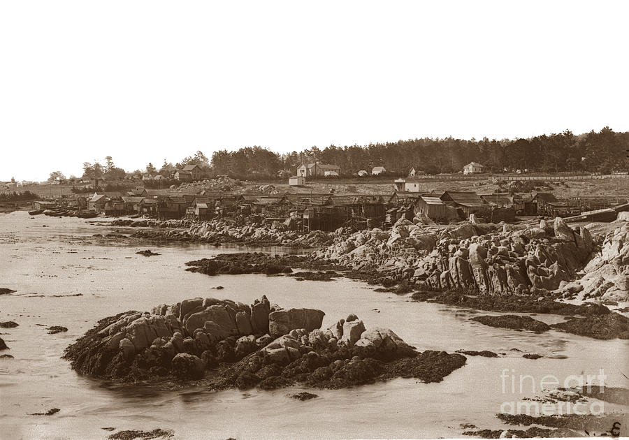 Chinese Photograph - Chinese Fishing Village Pacific Grove California  Circa 1898 by Monterey County Historical Society