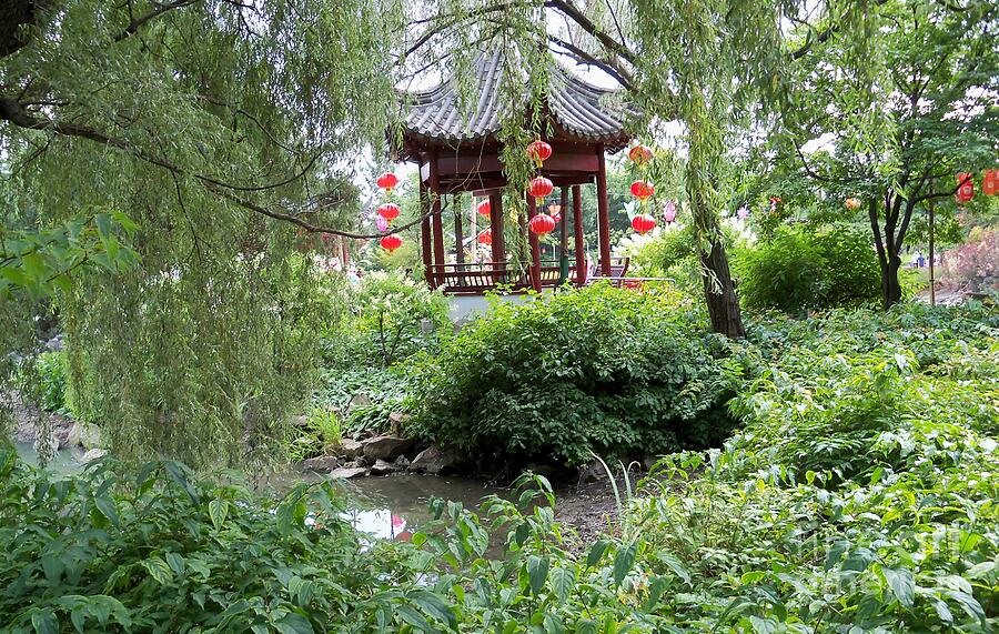 Chinese Garden at Montreal Botanical Garden Photograph by Lingfai Leung