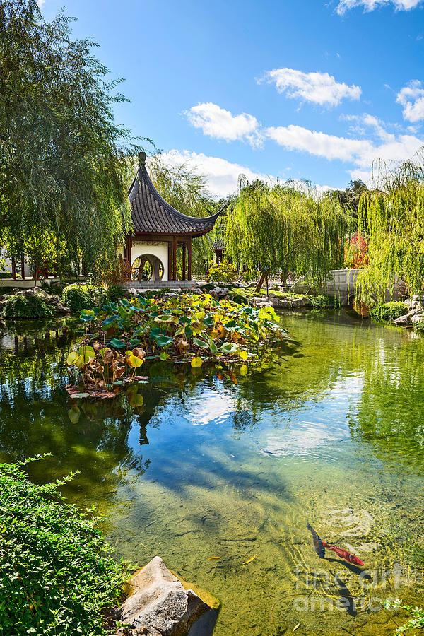 Tree Photograph - Chinese Garden Lake by Jamie Pham
