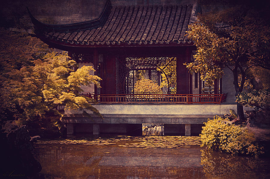 Chinese Garden Photograph by Maria Angelica Maira