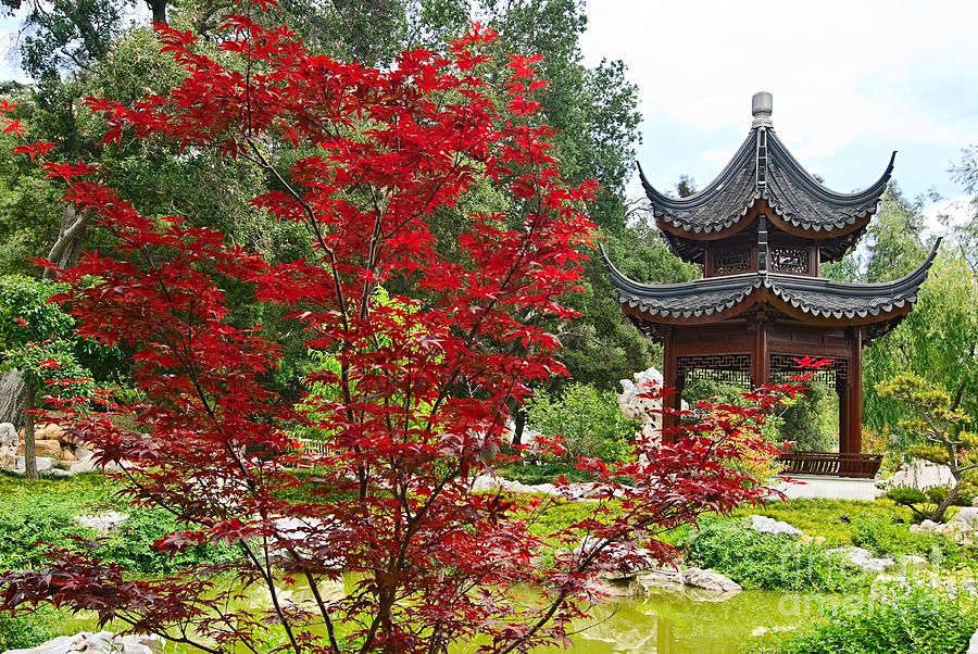 Pasadena Photograph - Chinese Garden with Pagoda and lake. by Jamie Pham