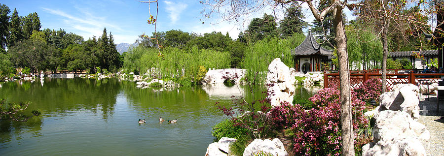 Chinese Gardens Photograph by Peter Awax - Fine Art America