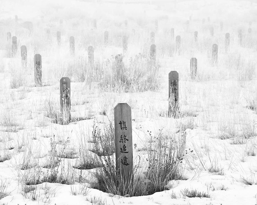 Winter Photograph - Chinese Grave Markers by Theresa Tahara