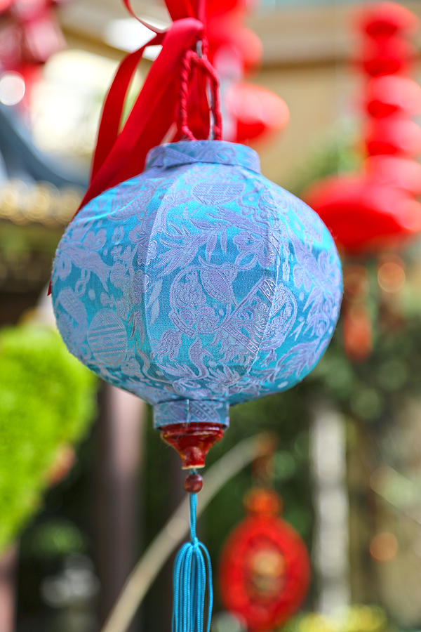 Chinese Lantern two - Bellagio Photograph by Michael Hope
