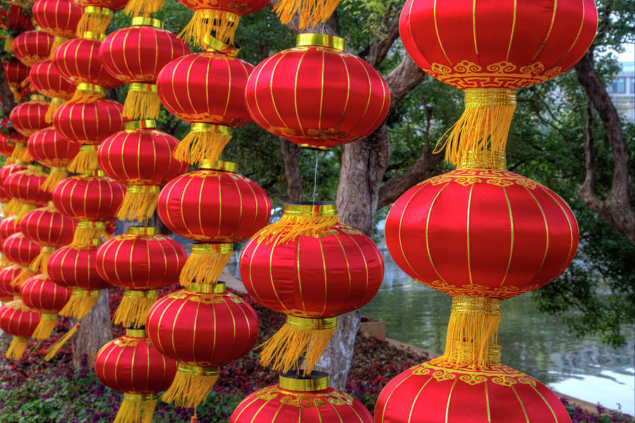 Chinese Lanterns Along The Walkway Photograph by Darrell Gulin | Fine ...