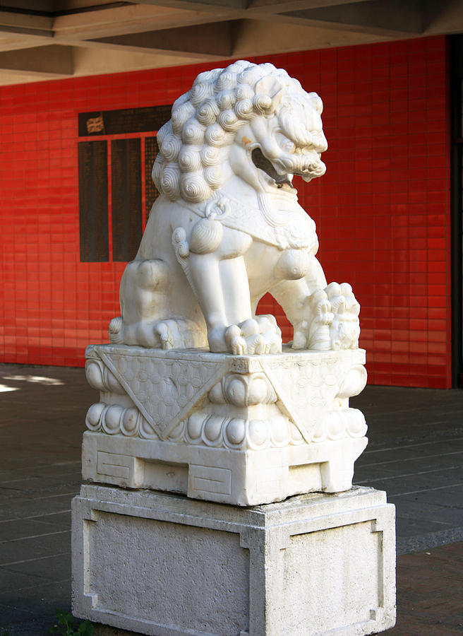 Chinese Lion Left Photograph by Gerry Bates
