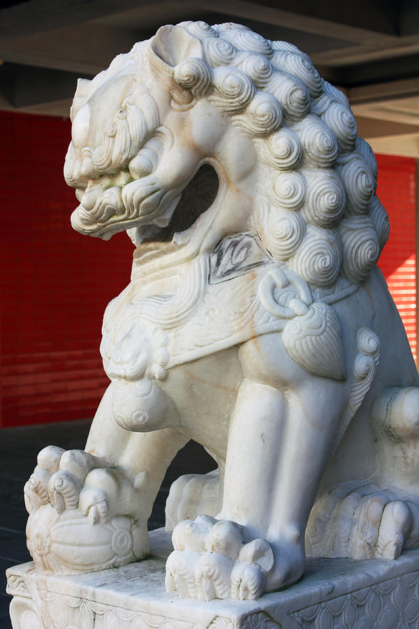Chinese Lion Right Photograph by Gerry Bates