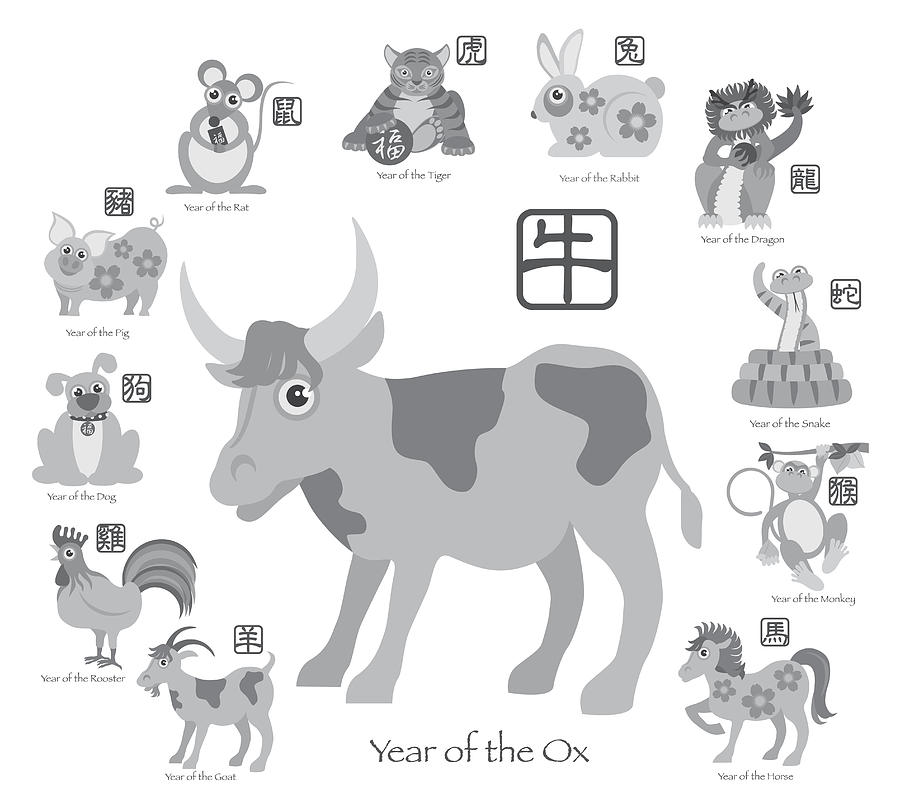 Chinese New Year Ox with Twelve Zodiacs Illustration Photograph by Jit Lim