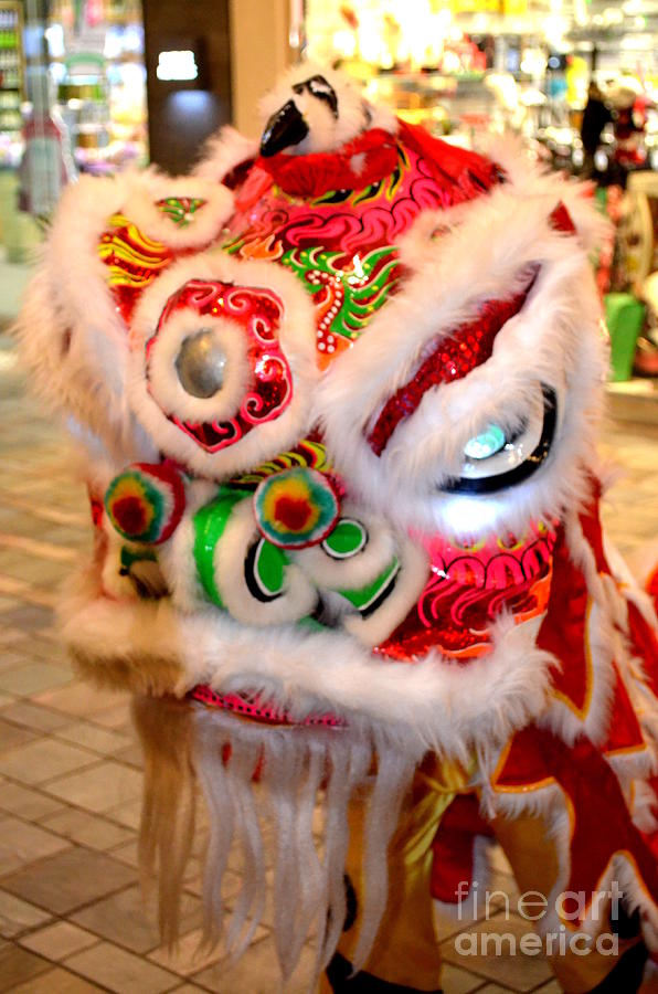 Dragon Photograph - Chinese New Year Series 2015 by Mary Deal
