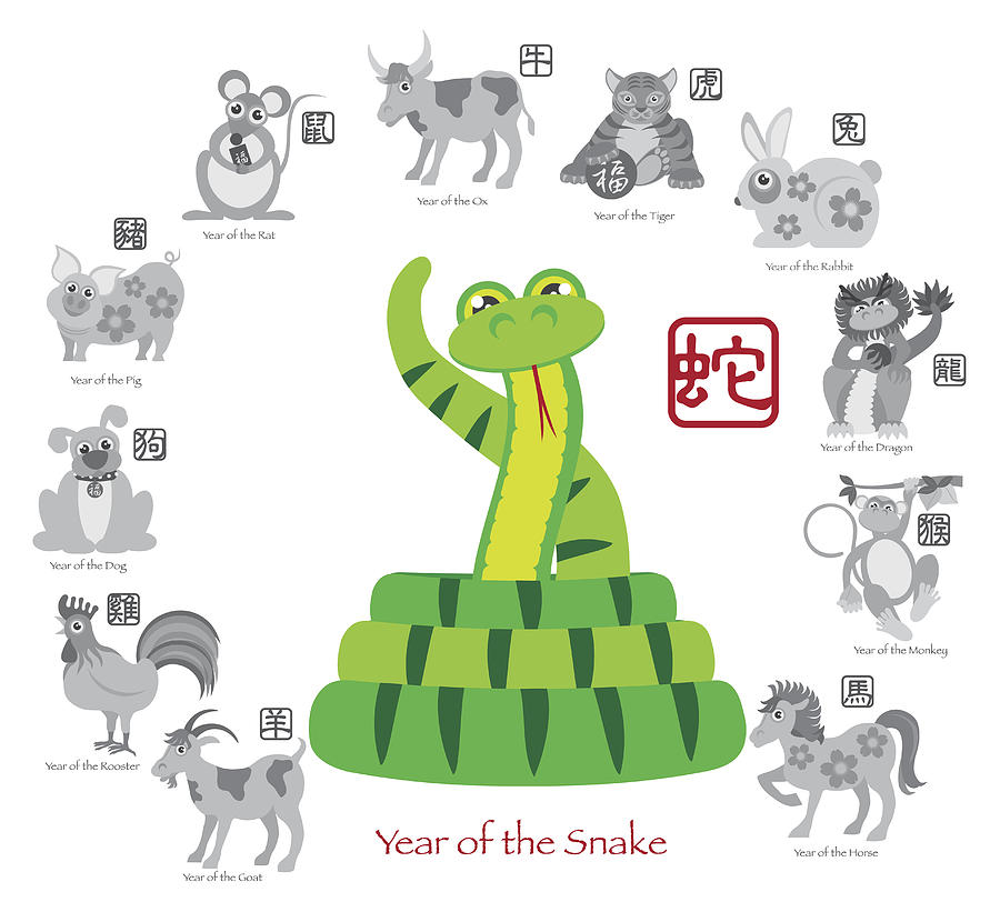 Chinese New Year Snake Color with Twelve Zodiacs Illustration