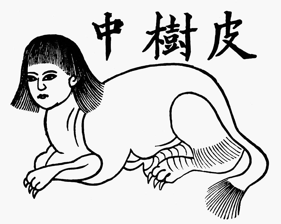 Chinese Sphinx Drawing by Granger