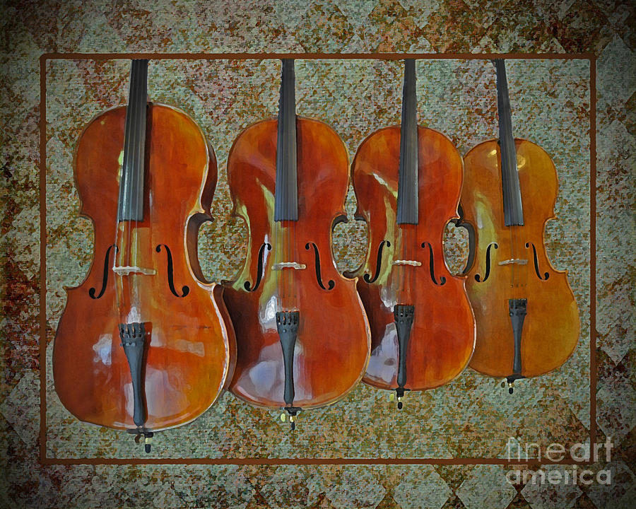 Chinese String Quartet Photograph by Josephine Cohn